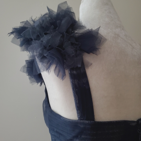 BCBGMaxAzria Silk Tulle Mini Dress - Picture 12 of 16